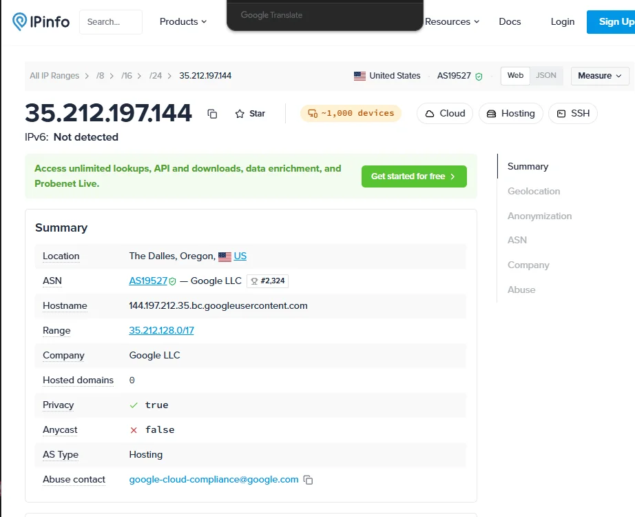 IPinfo page showing changed proxy IP address, location, ASN, and privacy status