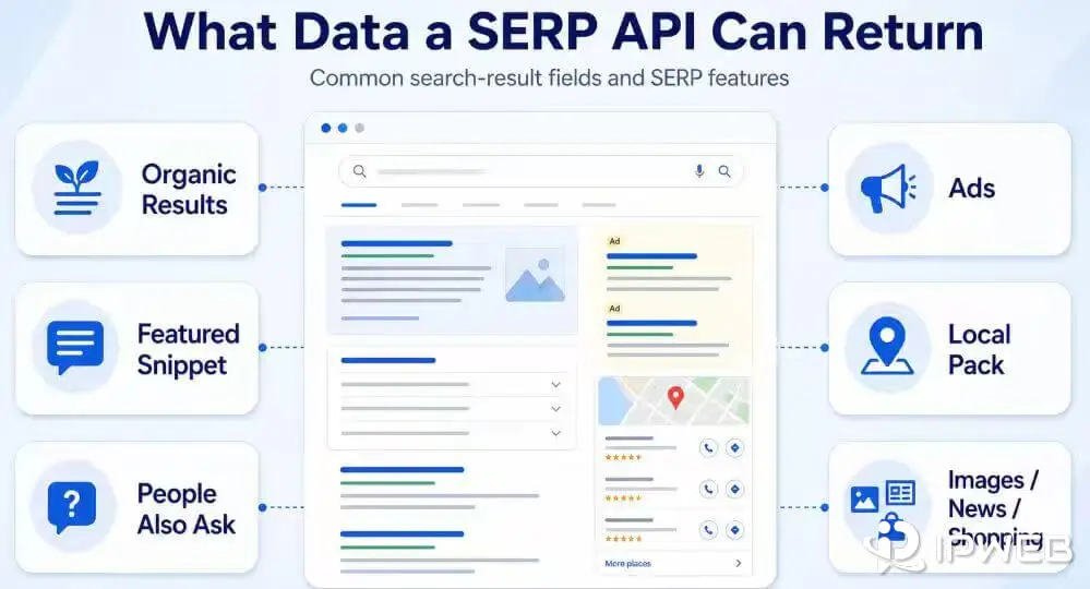 SERP API data fields including organic results ads local packs and People Also Ask