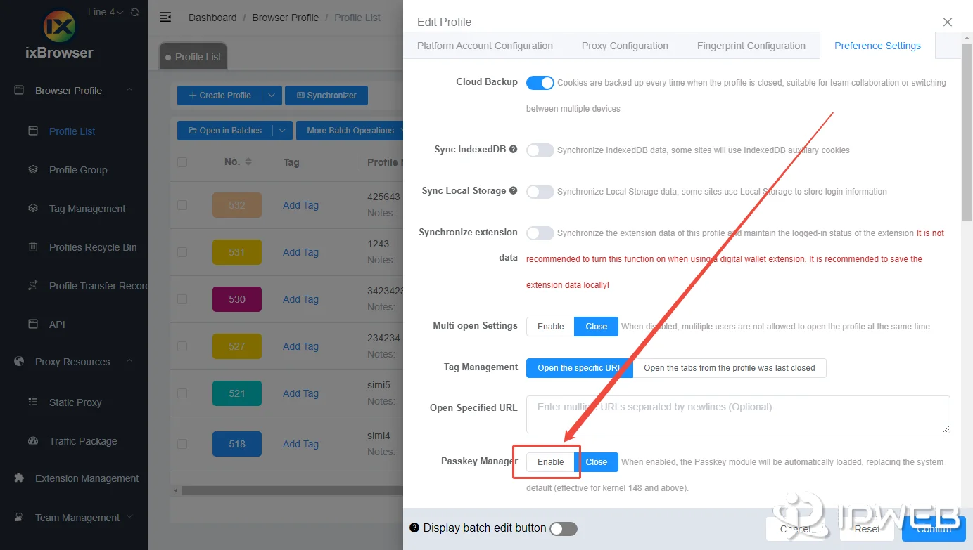 Enabling Passkey Manager in ixBrowser preferences