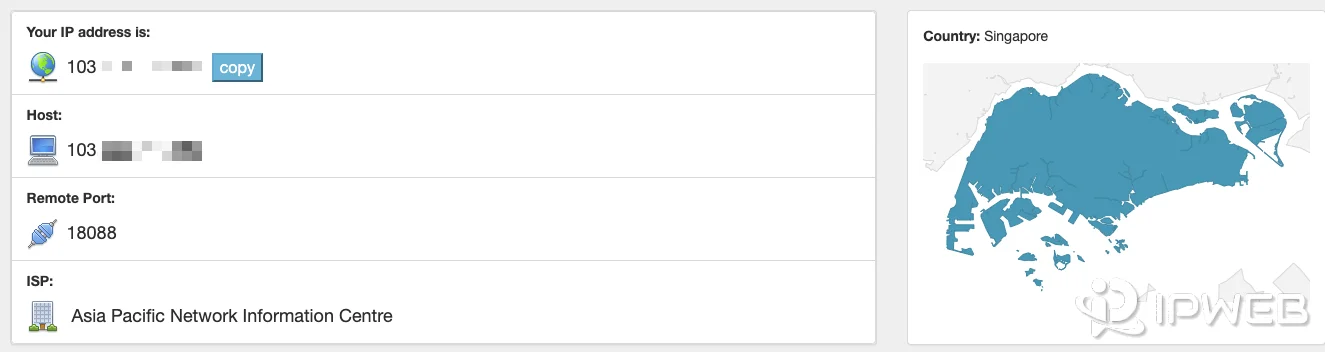Public IP lookup showing an IP address and Singapore country location during OpenAI troubleshooting