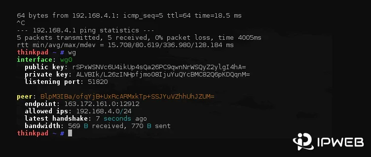 WireGuard command-line output showing the wg0 interface, peer endpoint, allowed IPs, and tunnel traffic statistics