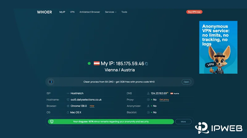 Whoer IP check showing visible IP ISP DNS proxy and browser signals