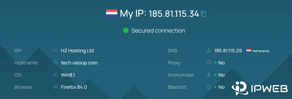 Whoer diagnostic results showing IP ISP DNS proxy and anonymity signals