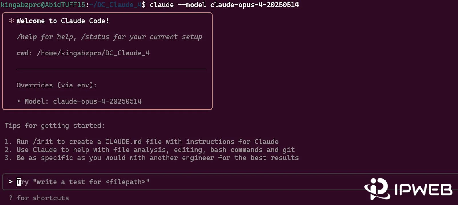 Claude Code terminal welcome screen showing the status command for checking the current setup