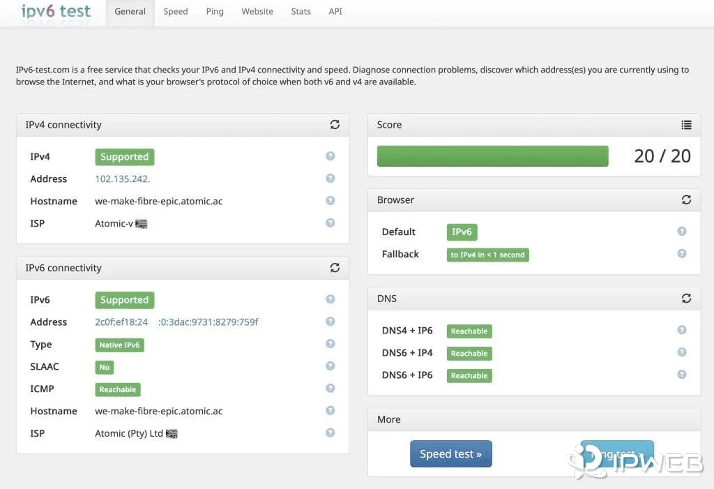 IPv4 and IPv6 connectivity test results displayed separately