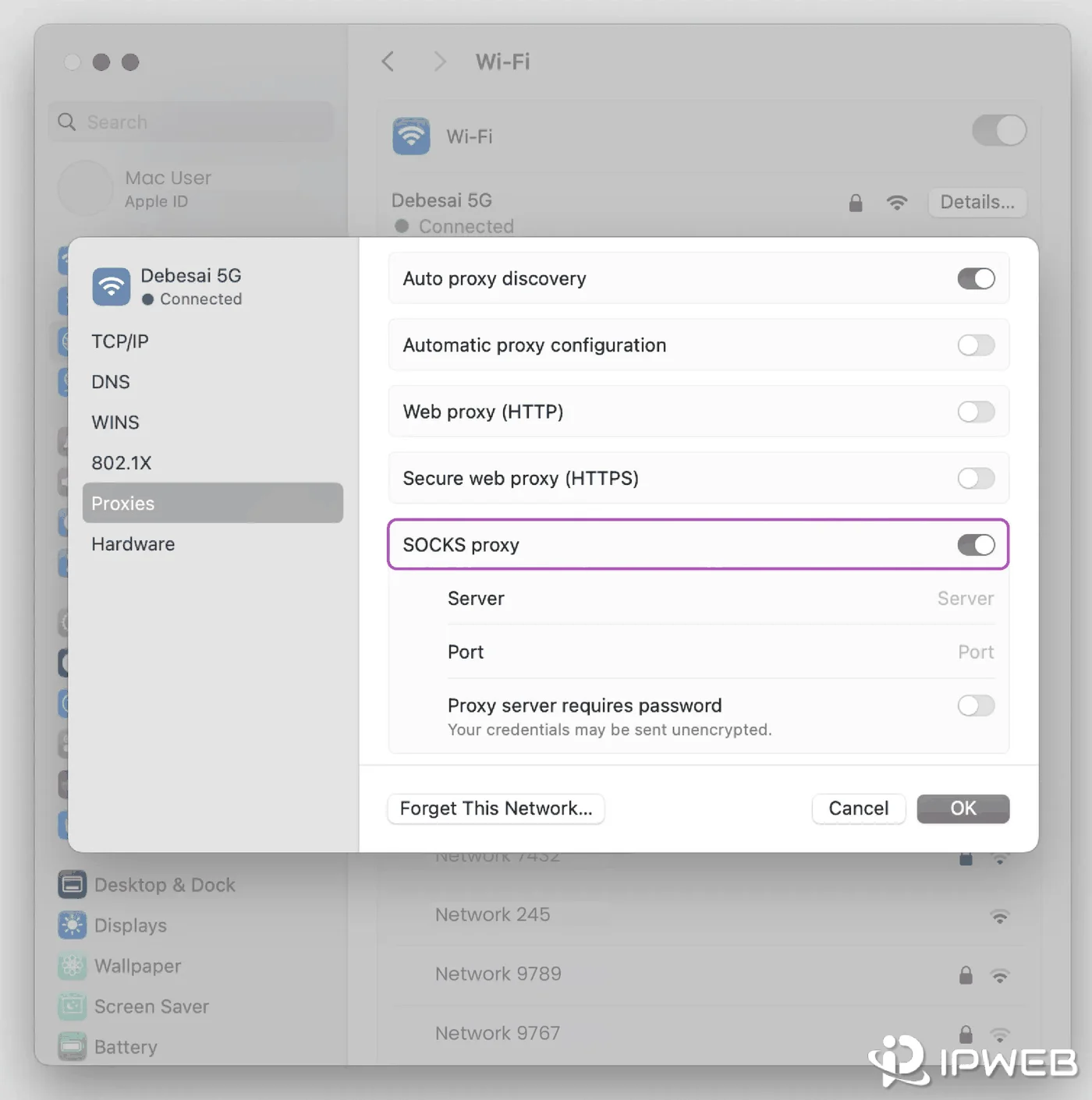 macOS SOCKS proxy settings showing server, port, and password fields