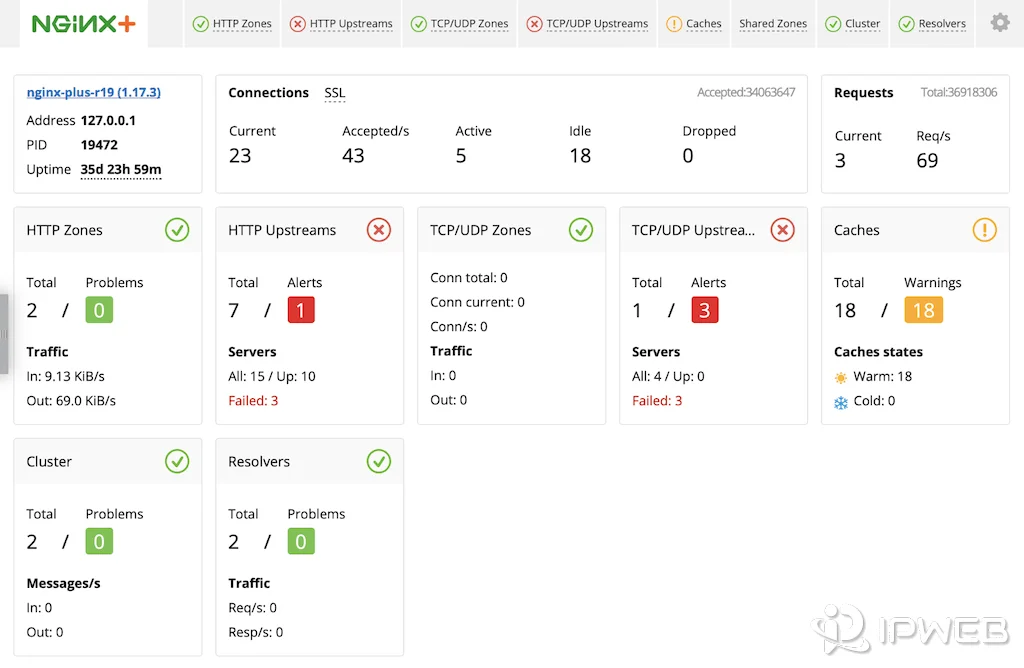 NGINX Plus dashboard showing HTTP upstream alerts and failed backend servers