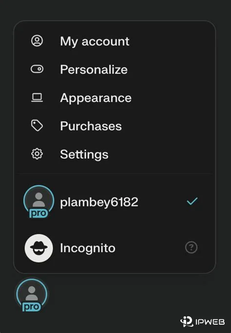 Perplexity account menu showing My account, Personalize, Appearance, Purchases, Settings, and Incognito