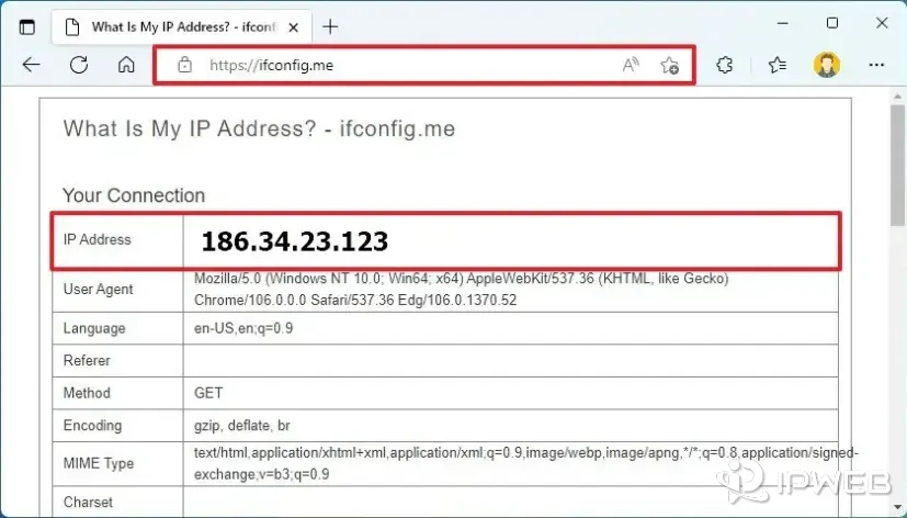 A browser page showing the public IP address visible from the current Internet connection.