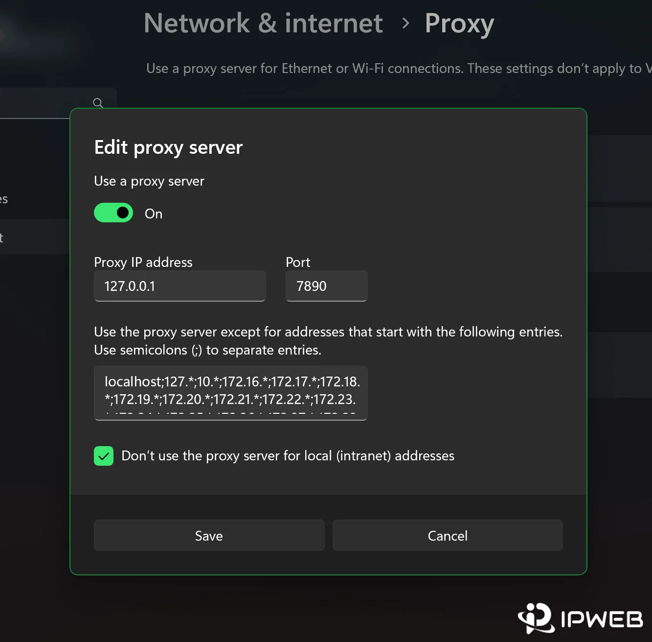 Windows 11 proxy settings showing proxy IP address port and local address exceptions